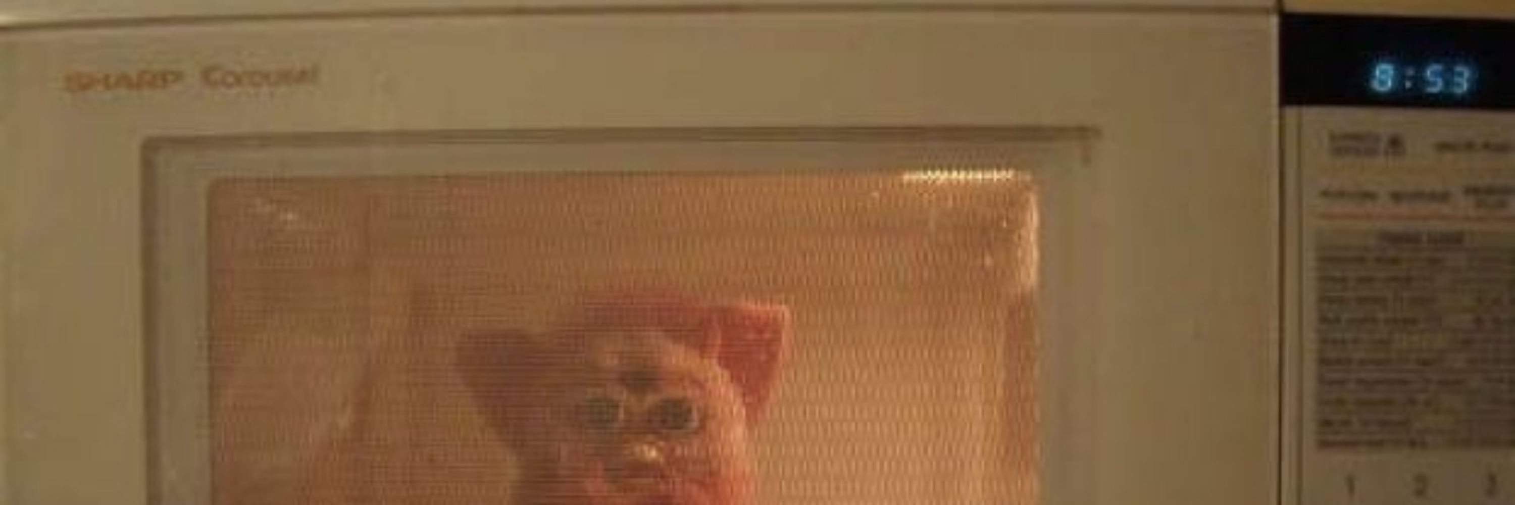 Adam Driver's Daily Whole Rotisserie Chicken
