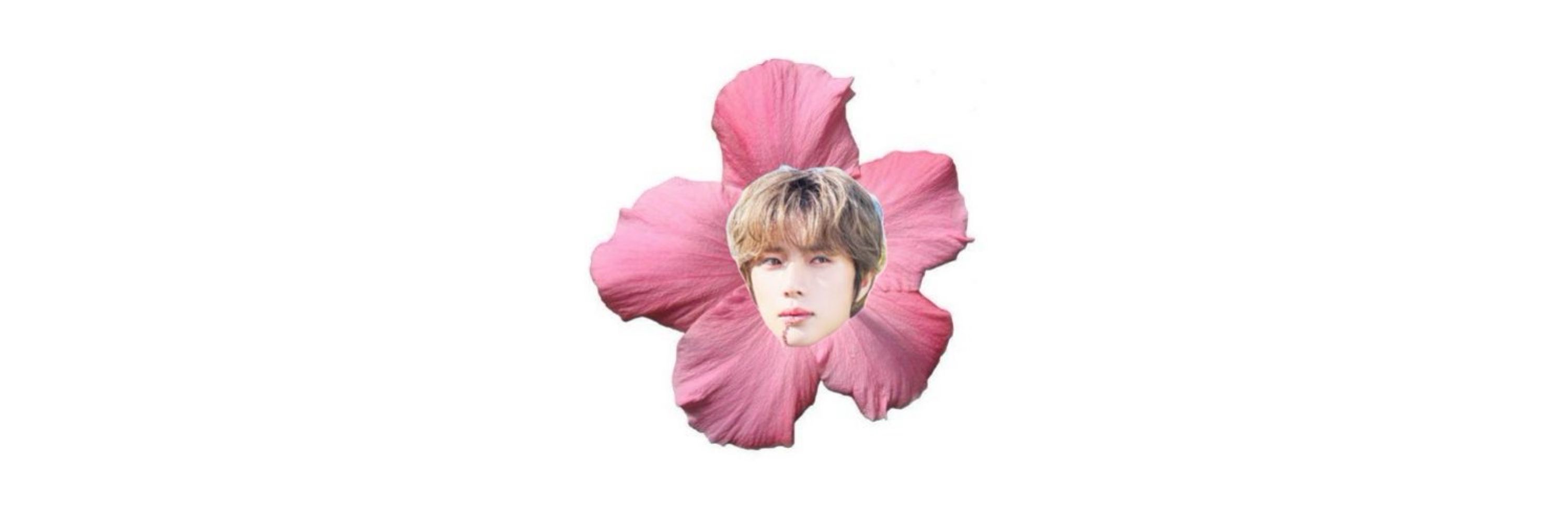 뽕규