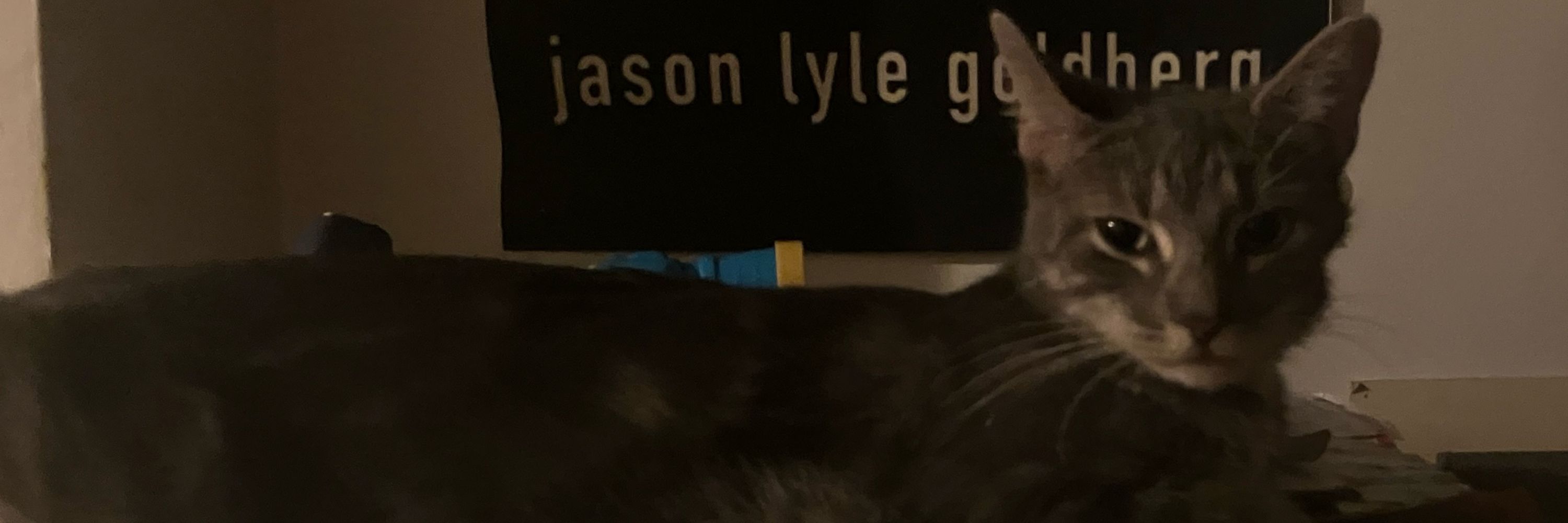 Jason Lyle Goldberg