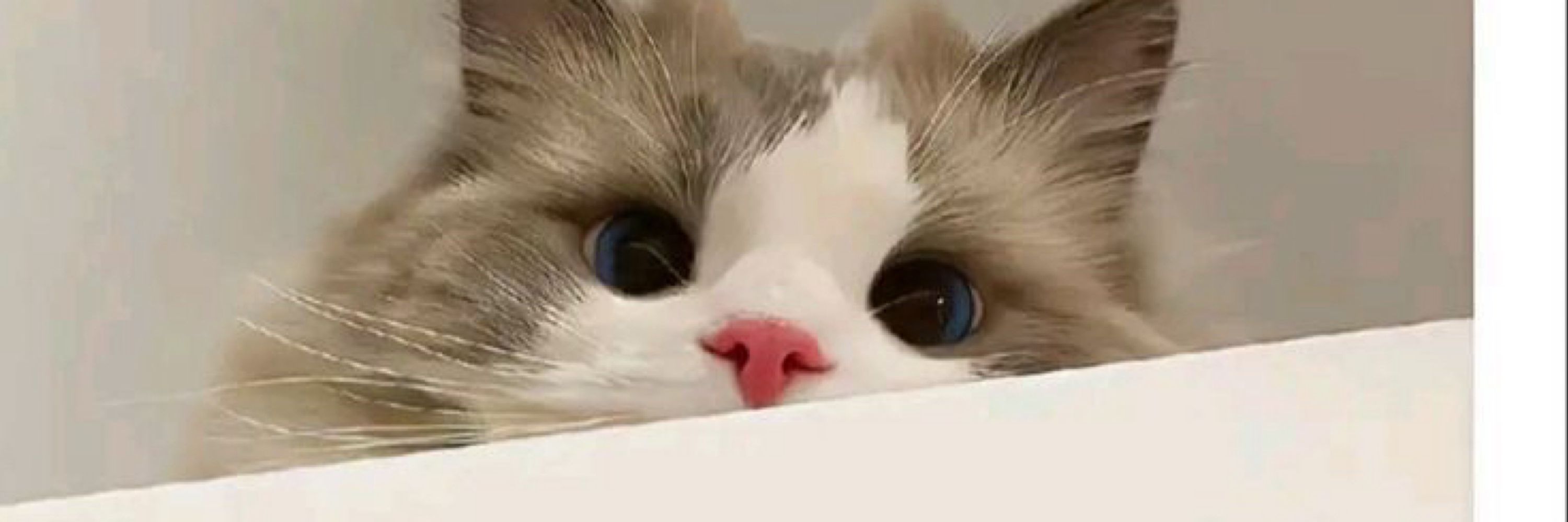 m0mmylee