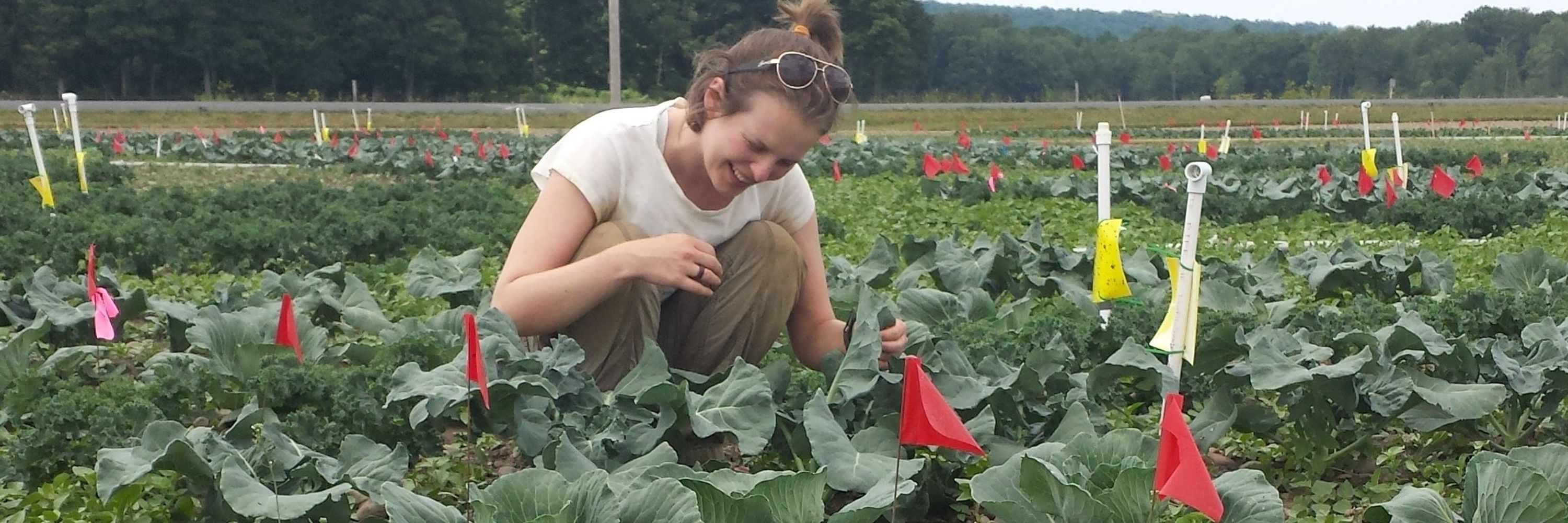 Lauren Snyder, PhD