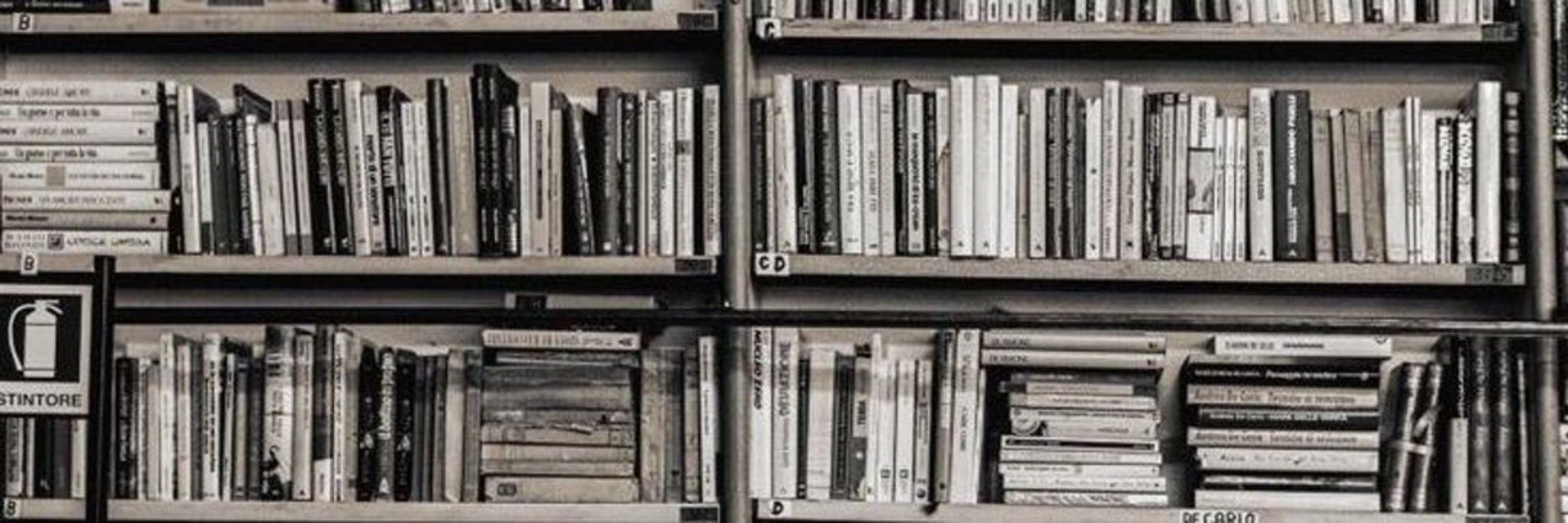 entorpecida. |📖: uma vida pequena