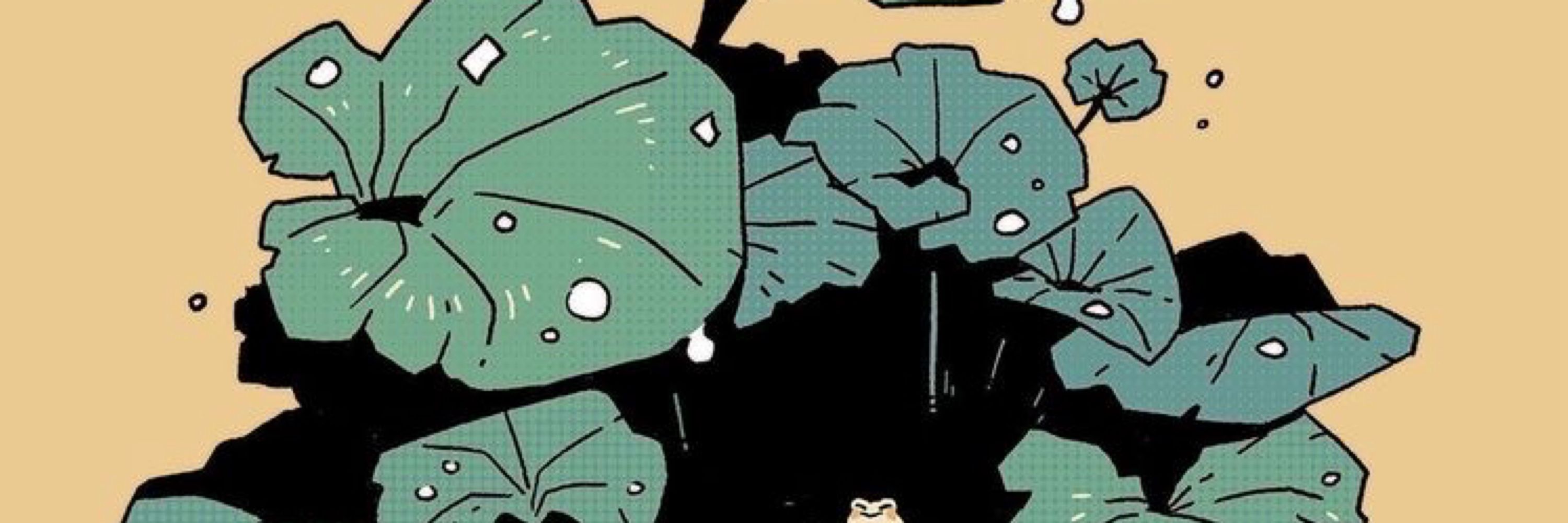 The_Curious_Toad