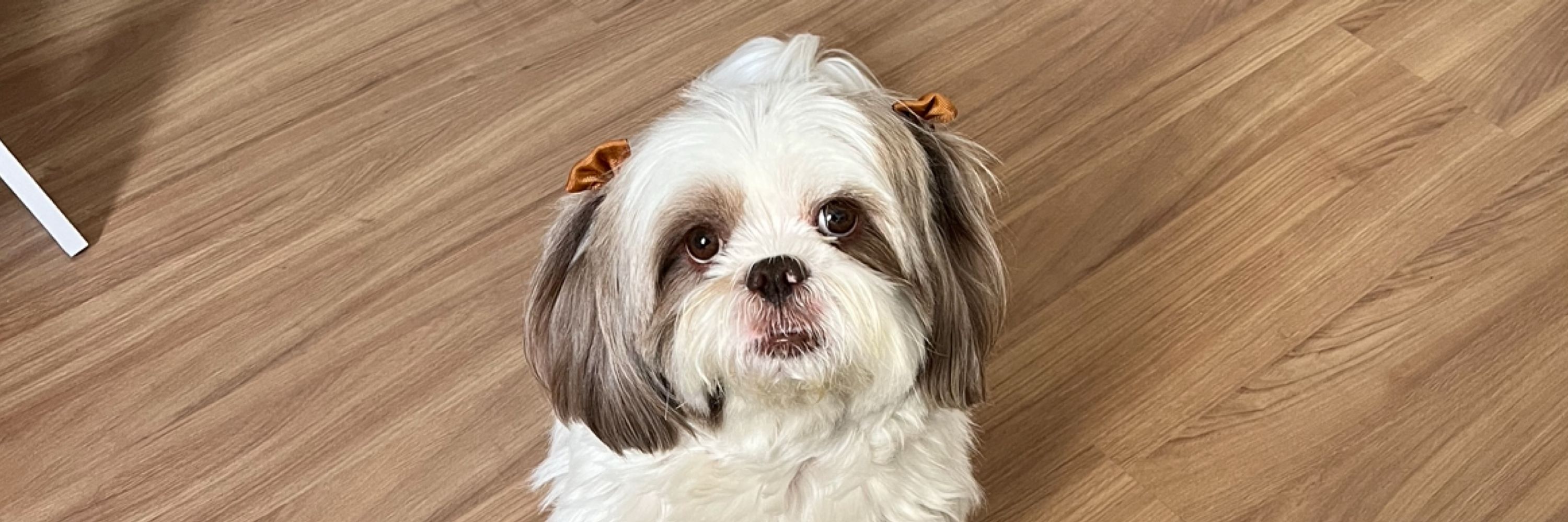 zami