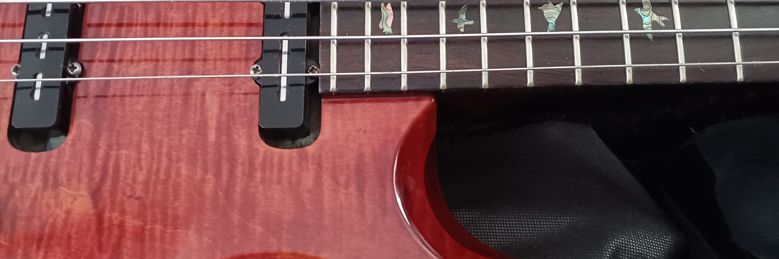 T-cle(Taku)