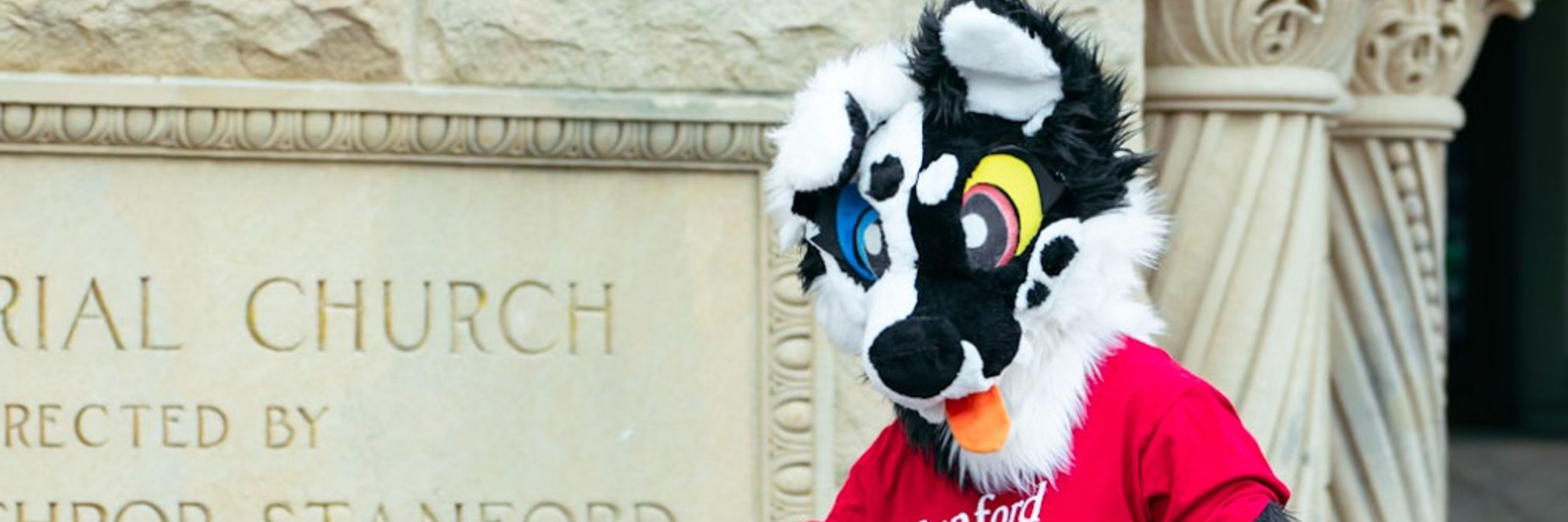 Furries at Stanford