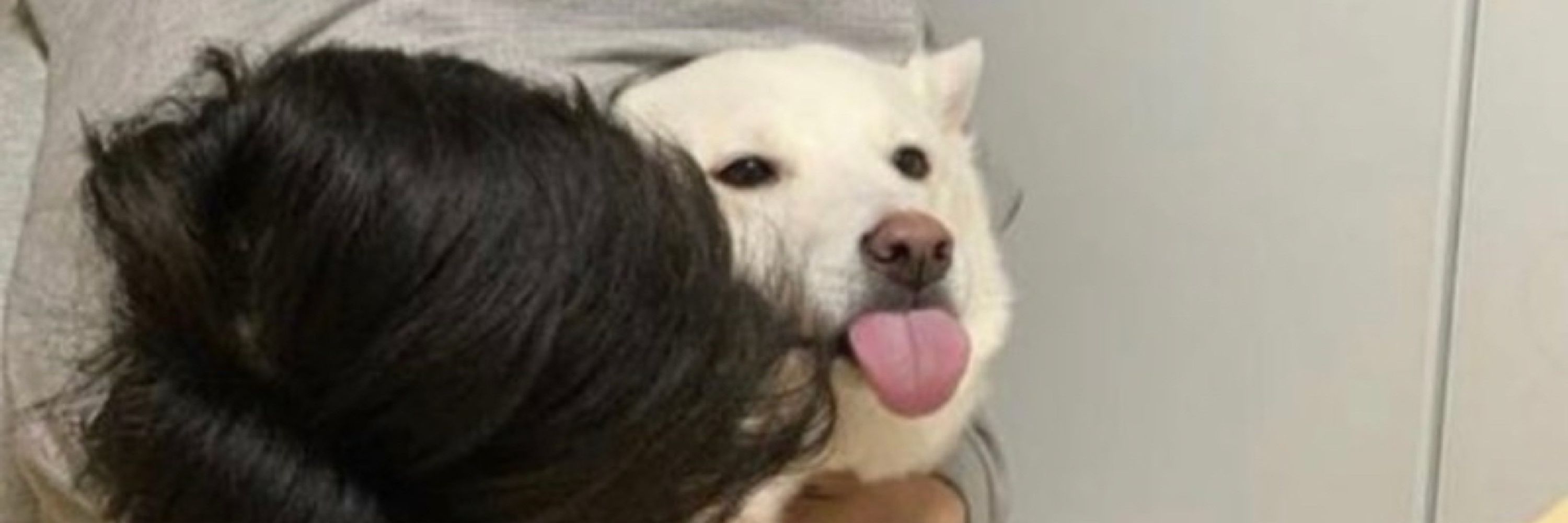 테크노보살