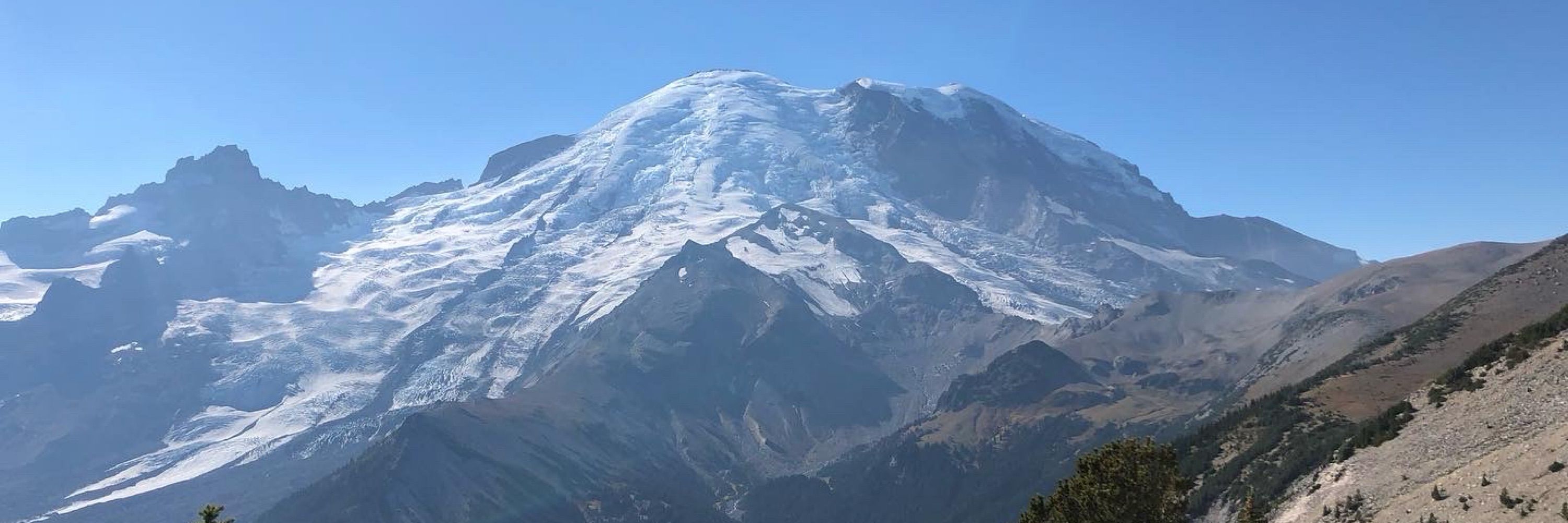 Ghayda Mirzaa