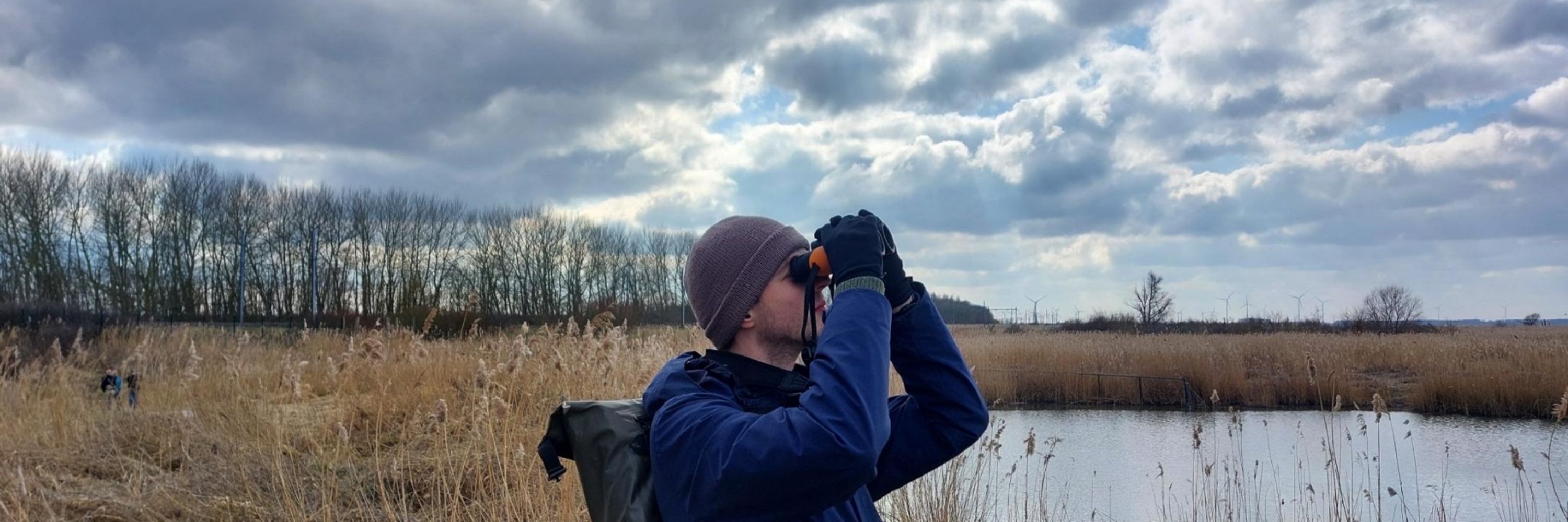 Thijs Elfrink