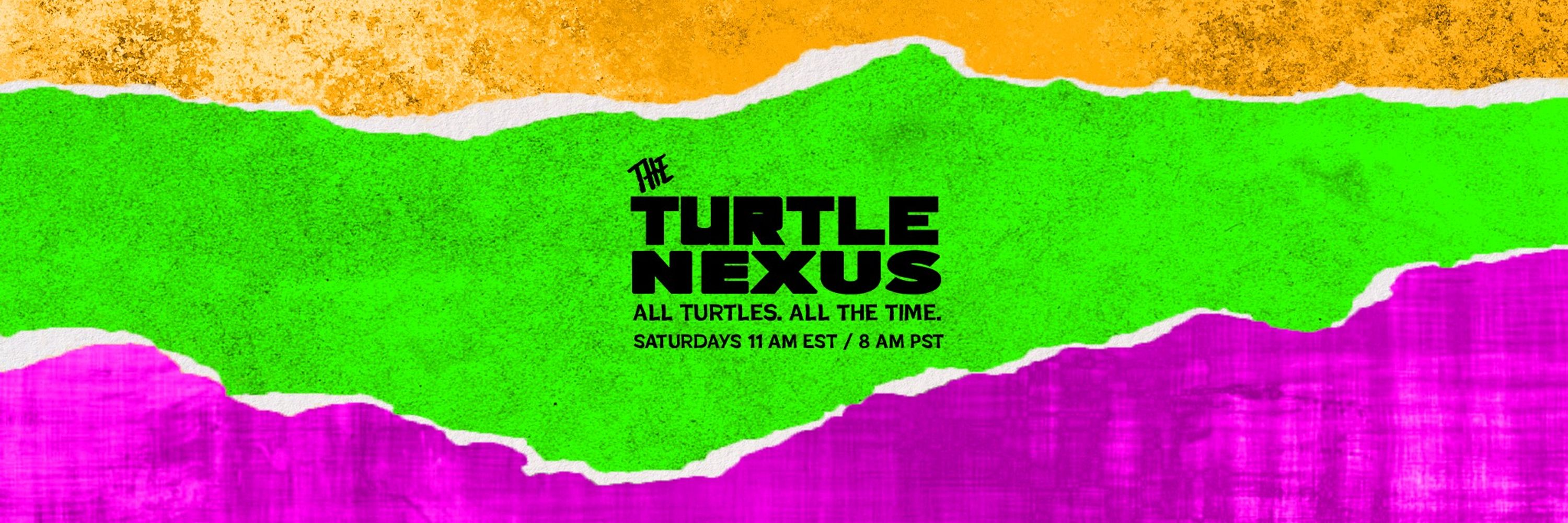 The Turtle Nexus