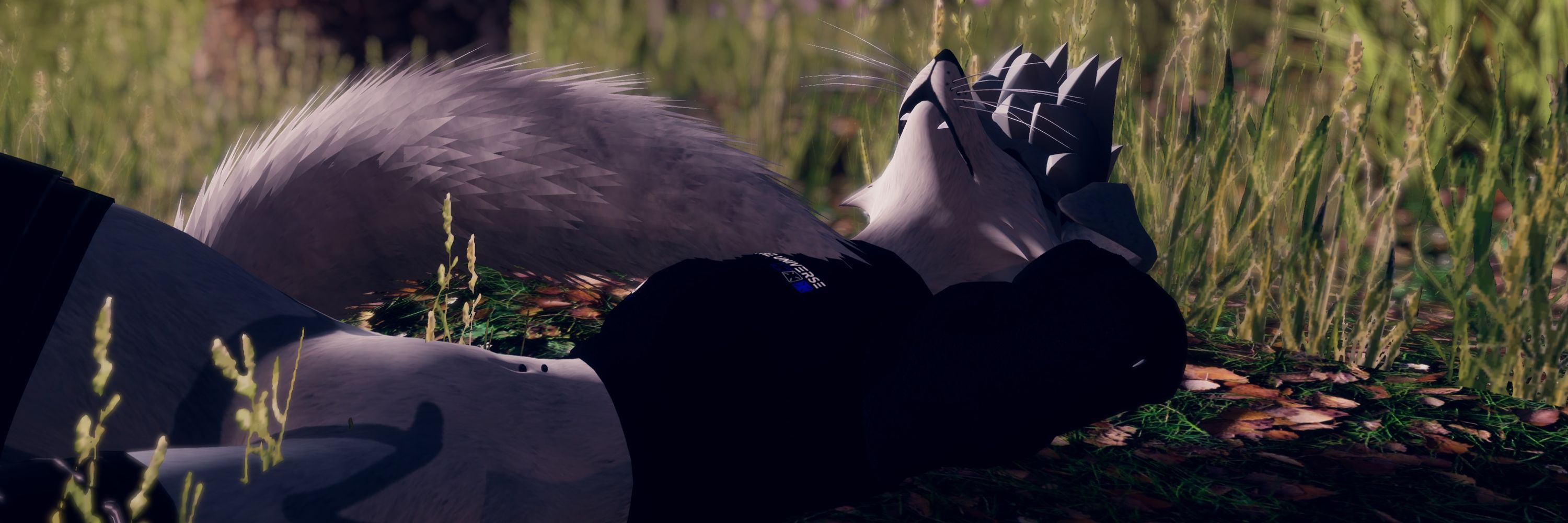 Zeru 