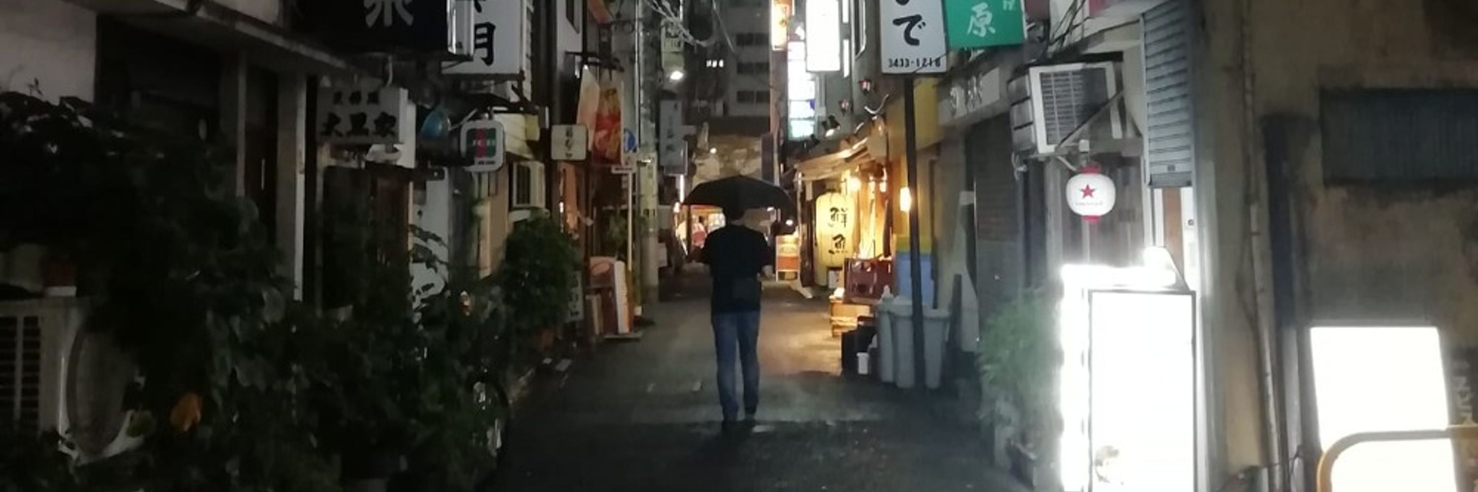 YaviChan