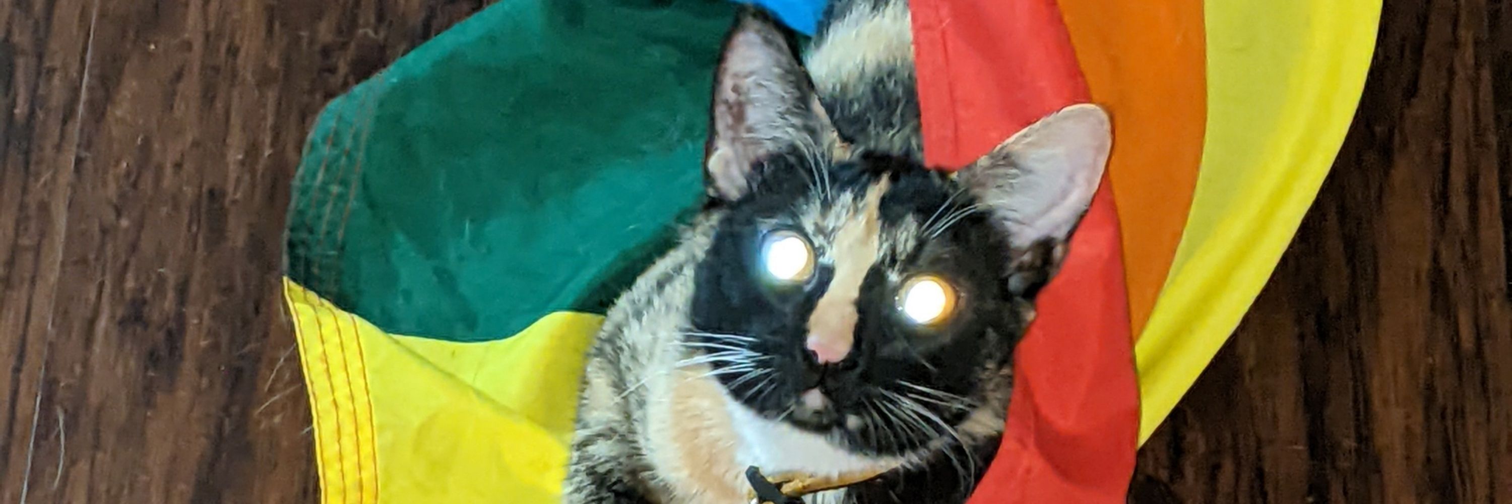 GrrrlRomeo