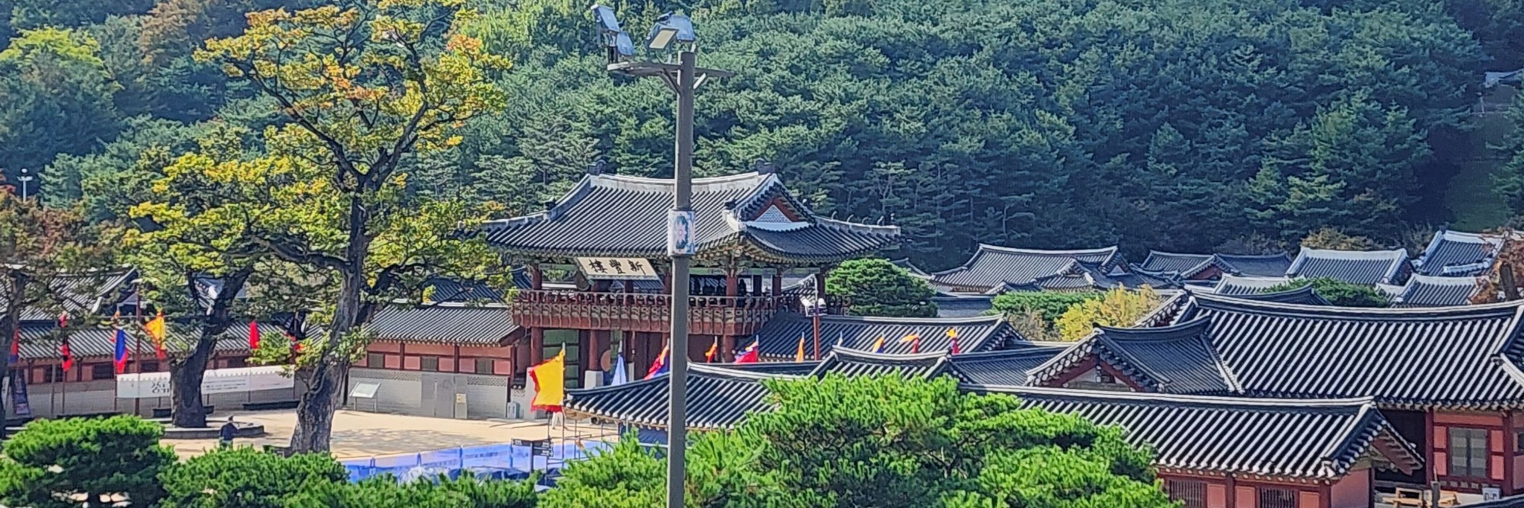 김아깽