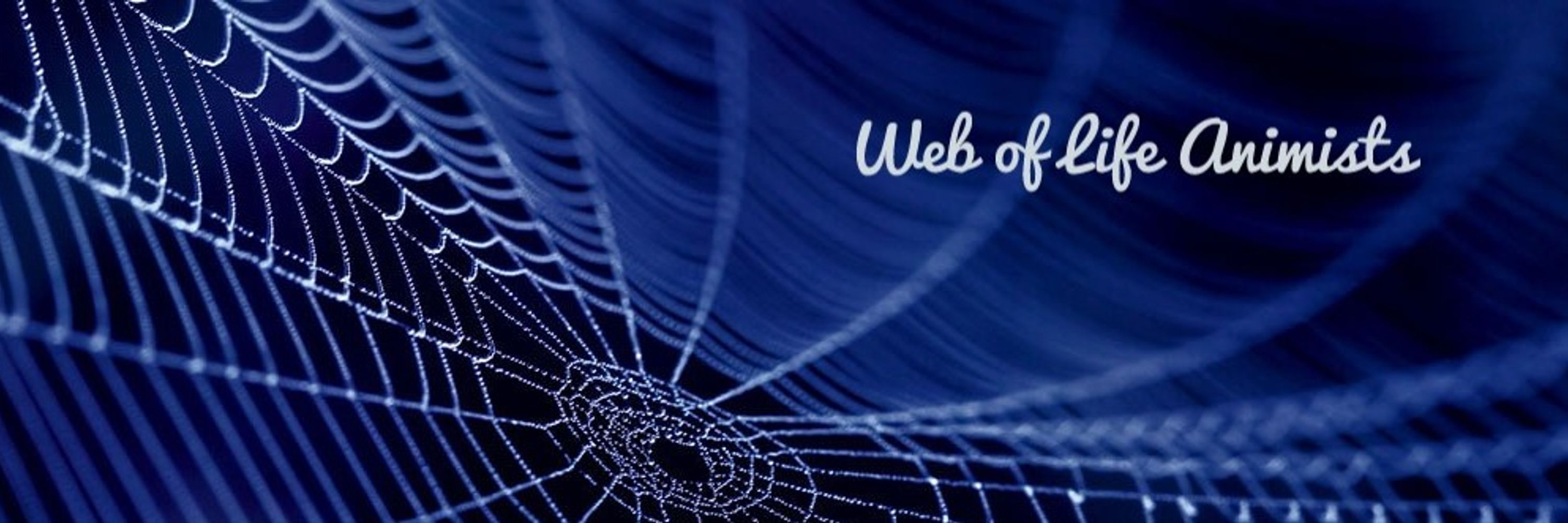 Web of Life Animists