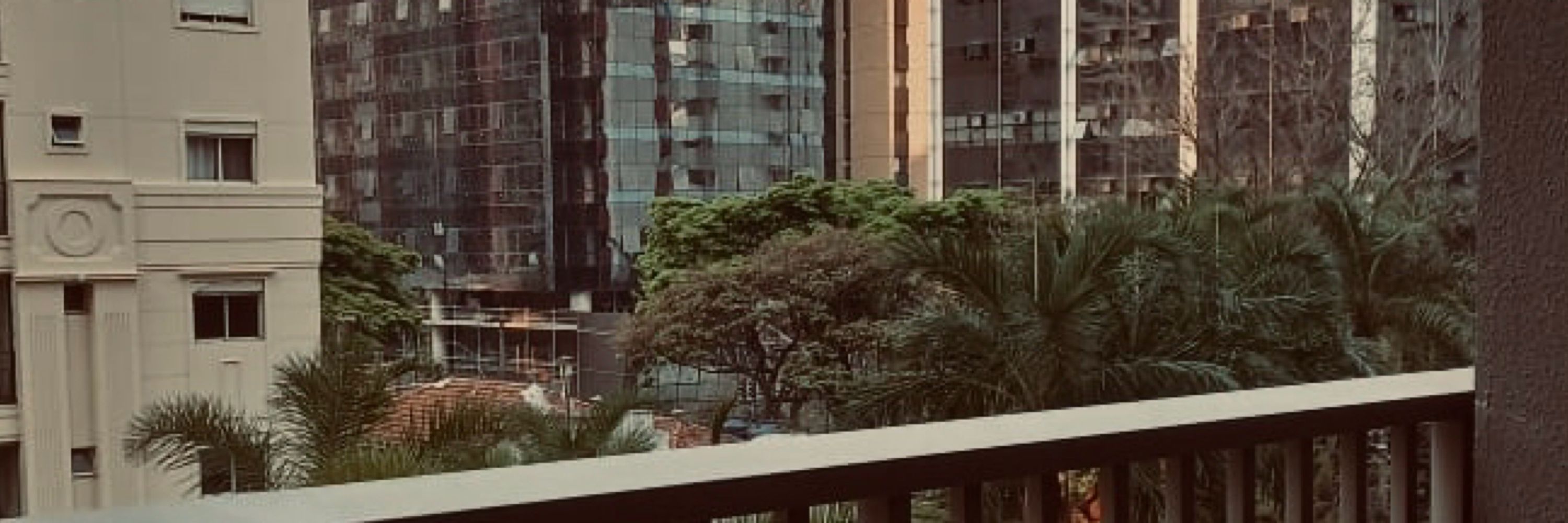 carolzinha