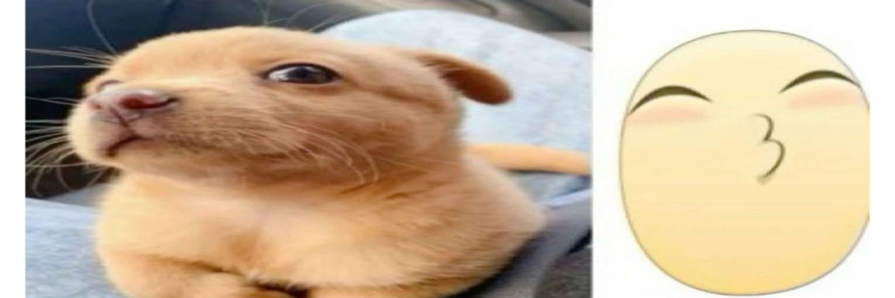 𐍂𔘓૮ìσ