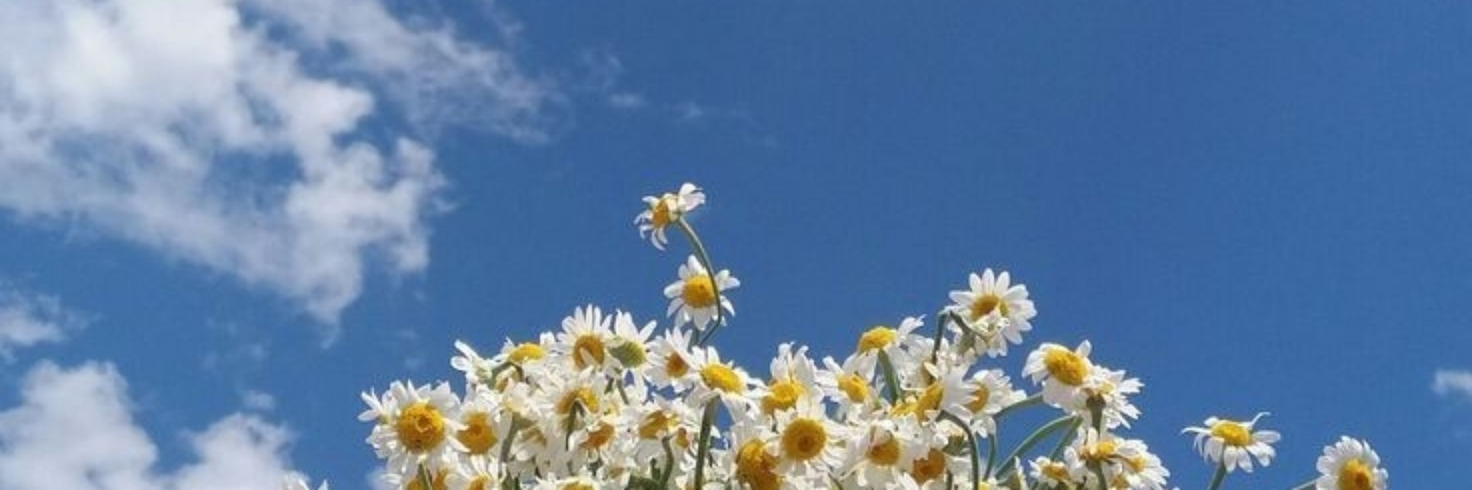 April