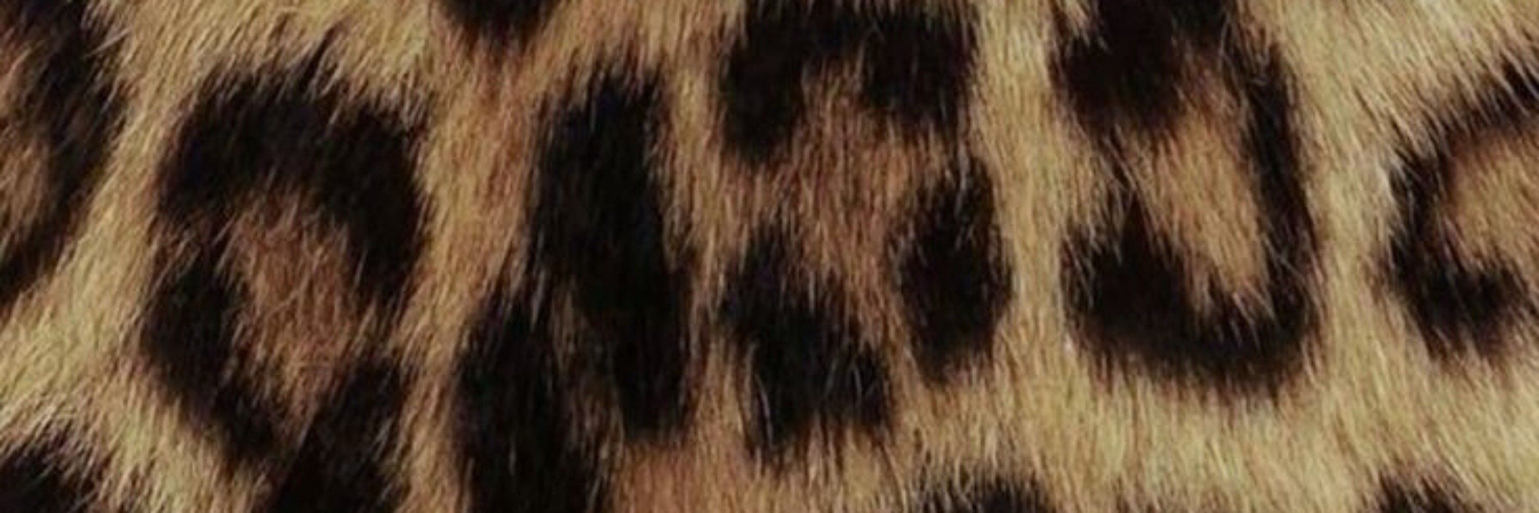 elle 🐆
