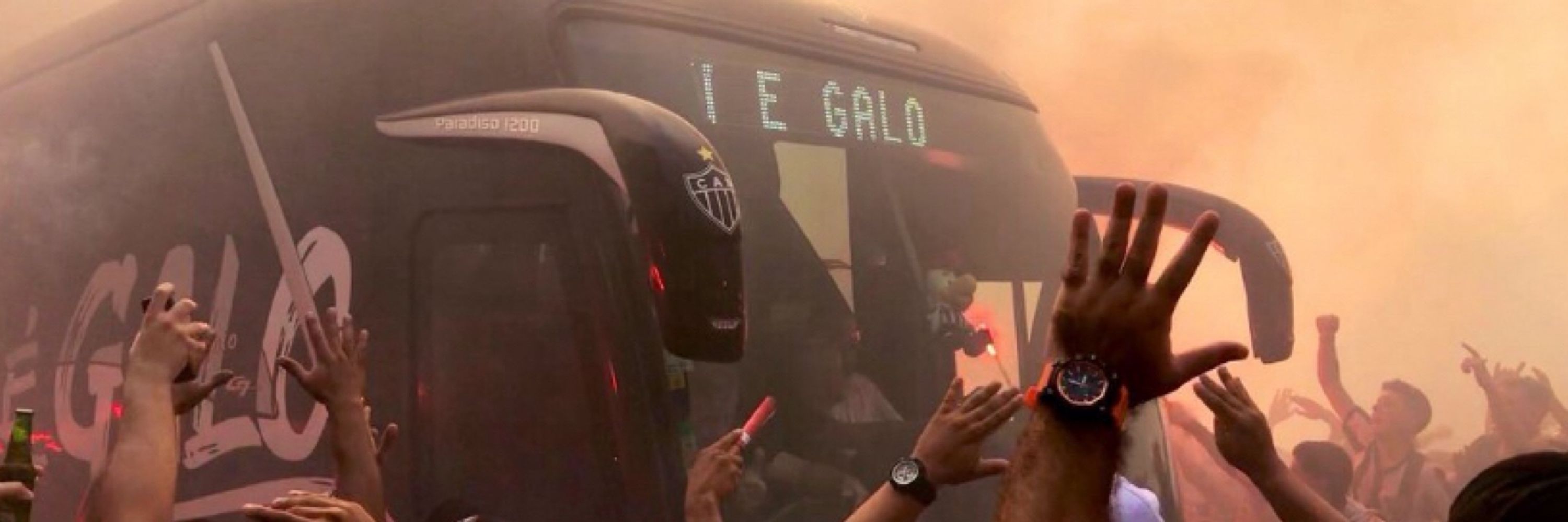 flávio dos domingos