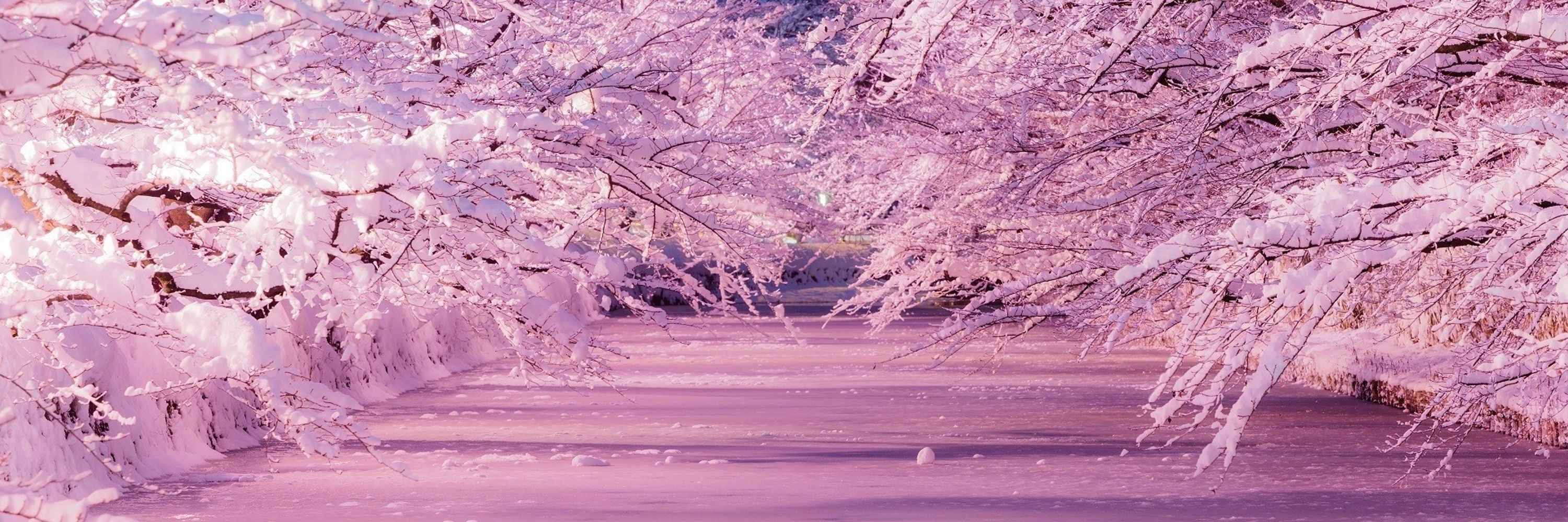 降魔怜桜