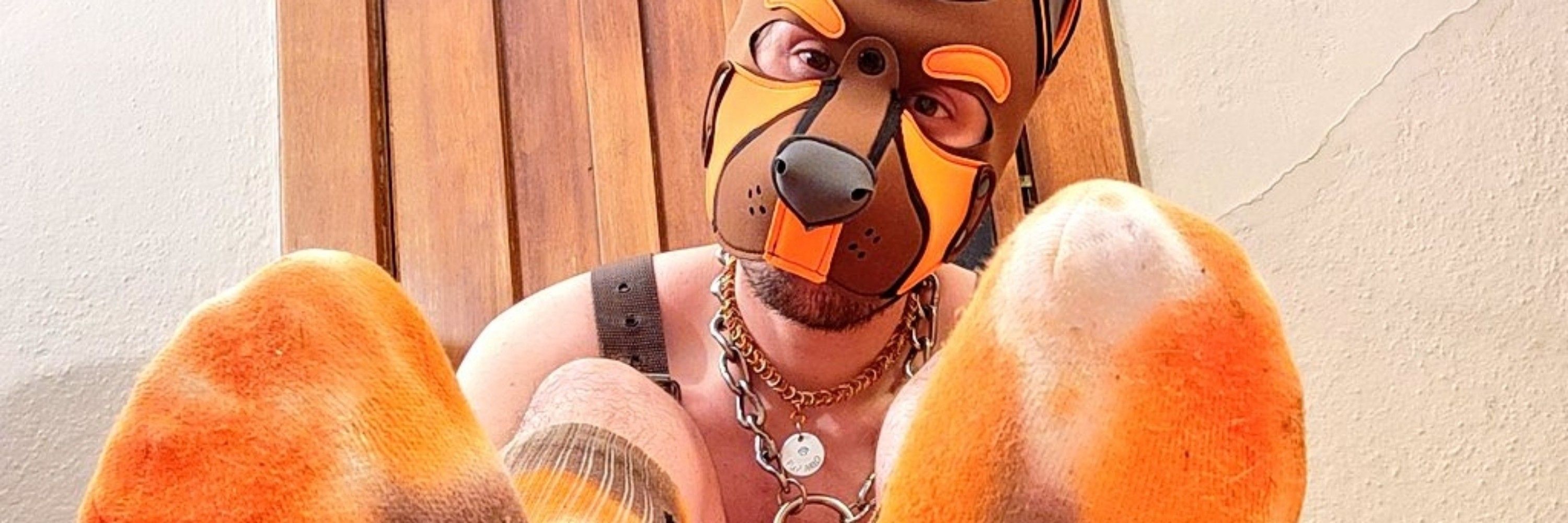 Pup Arlo 🏳️‍⚧️ ➡️ IML