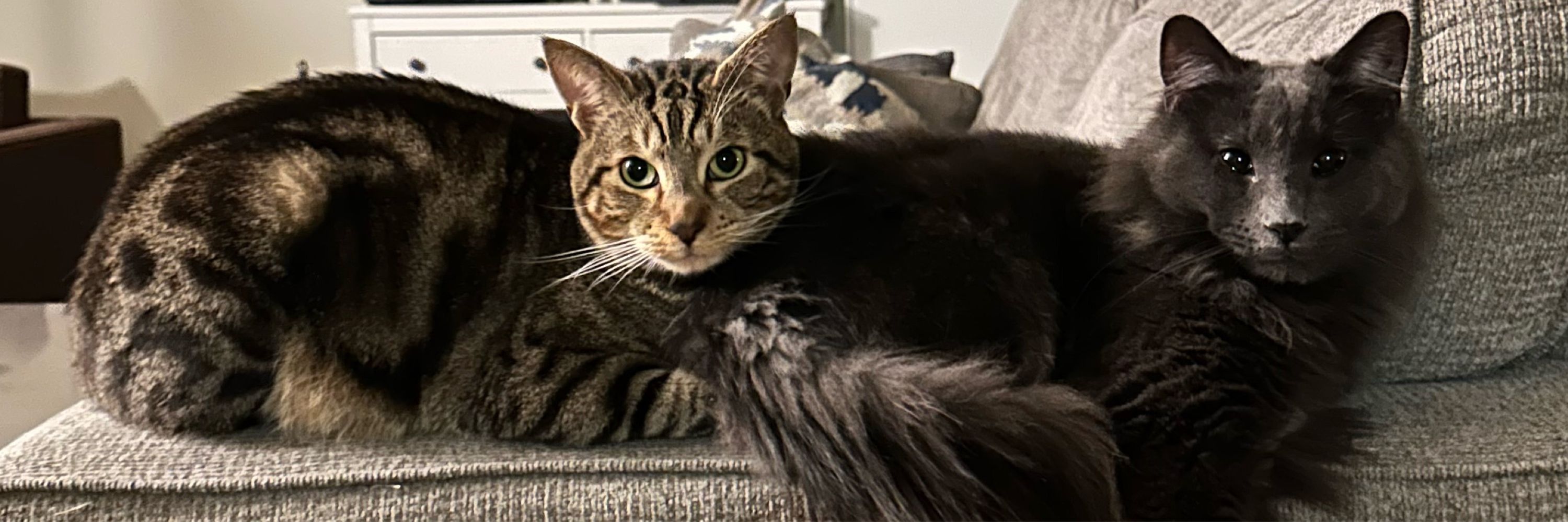 Martango