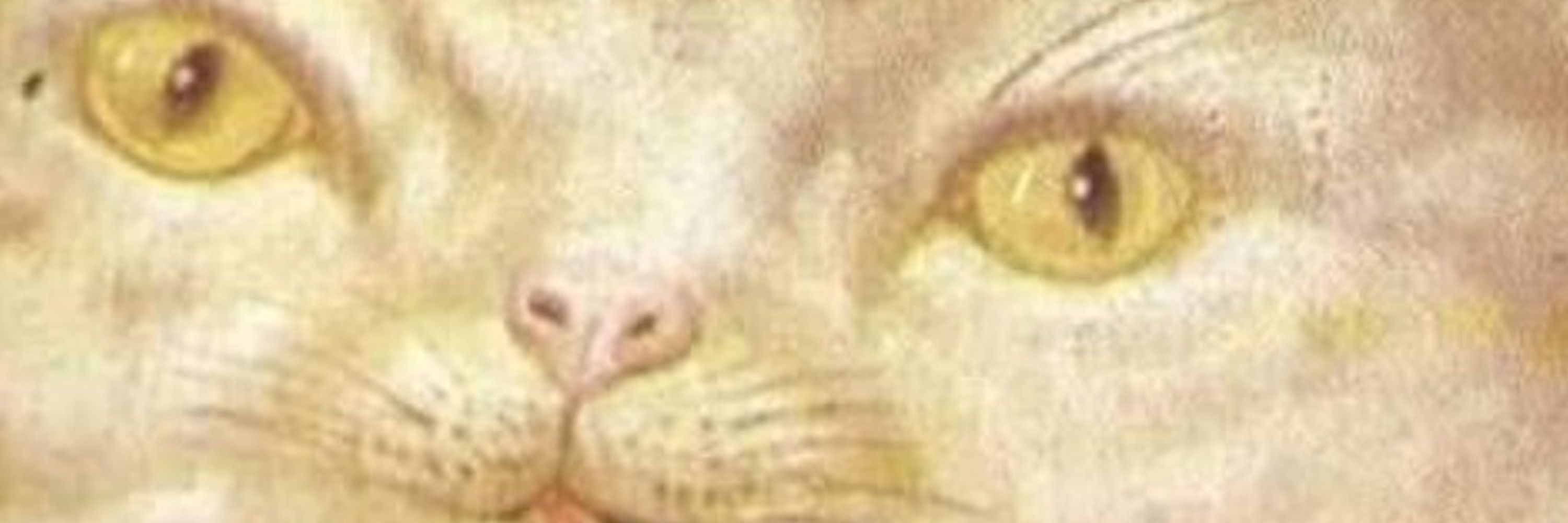 Dr. BigFaceCats