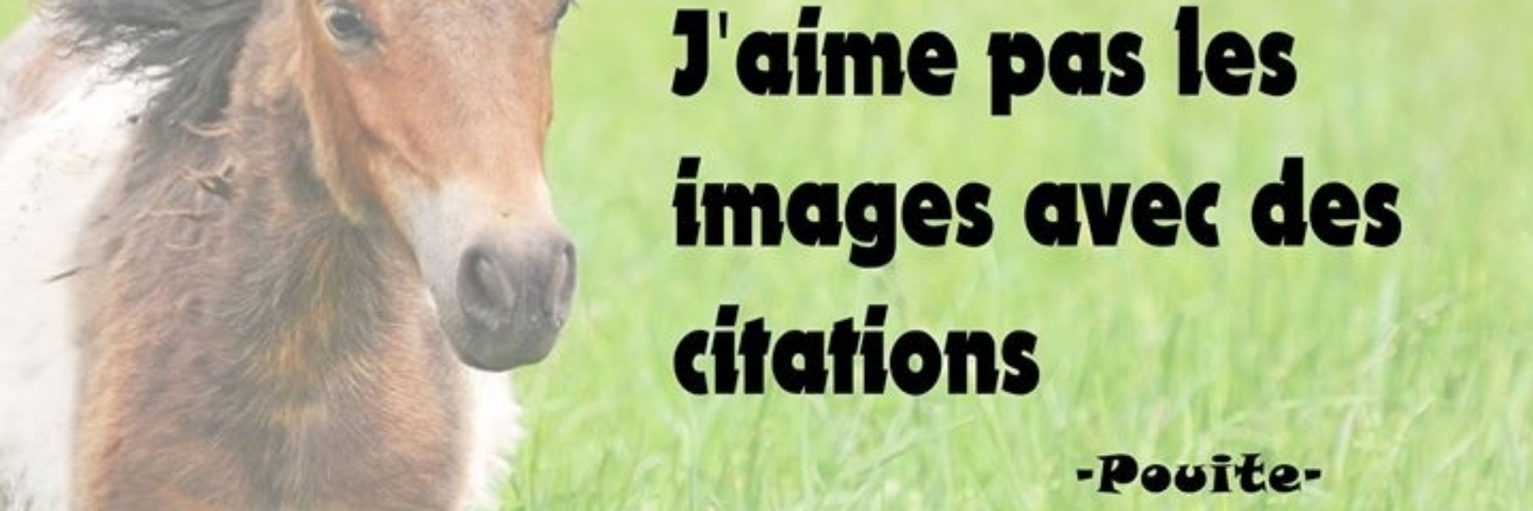 Capitaine Pouite