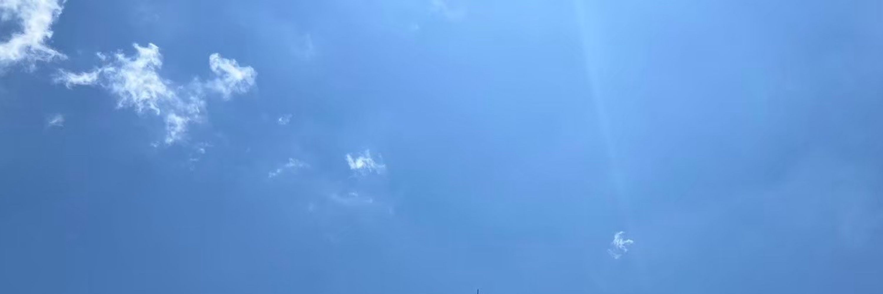 魯府