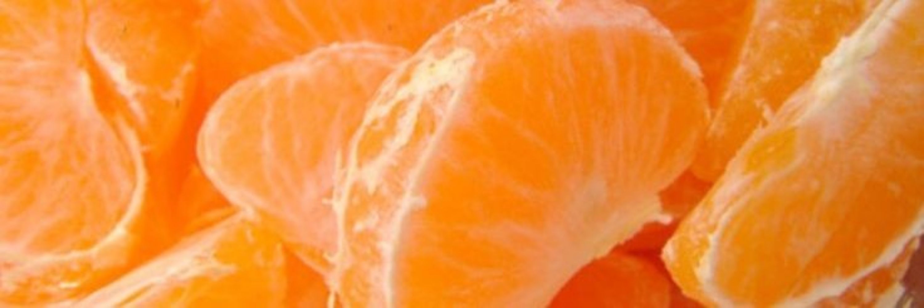 Jonah🍊