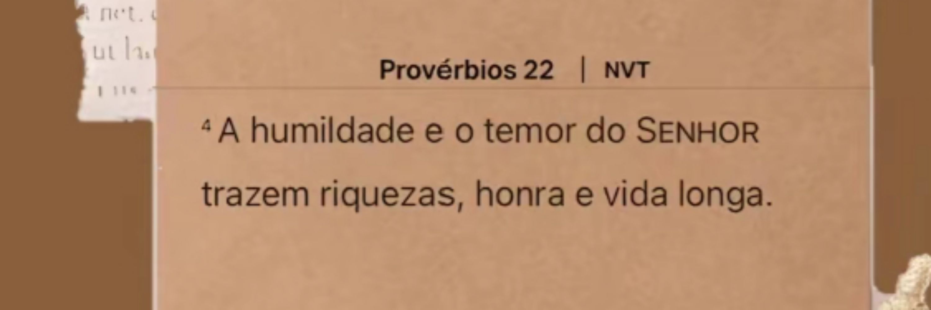 Vittorya Mendonça 