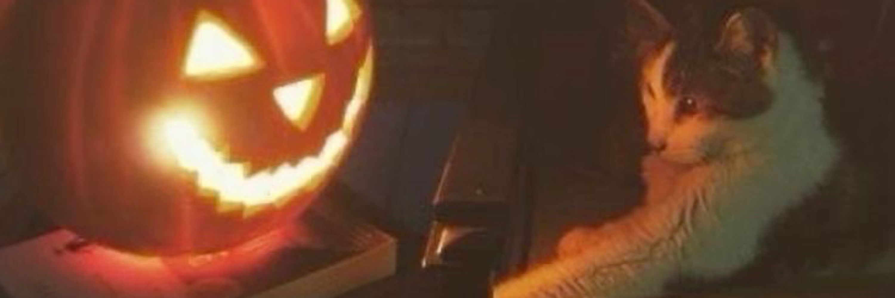 paige 🎃