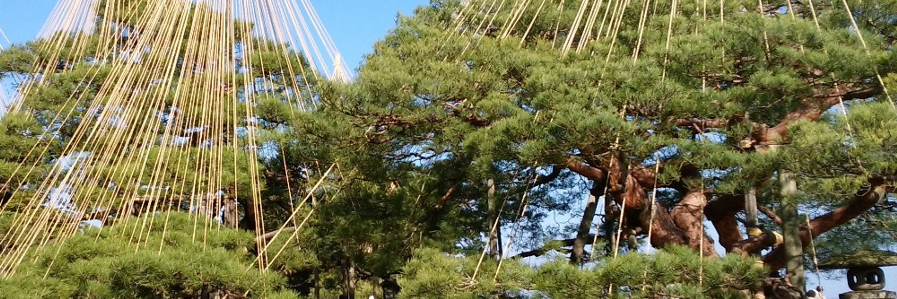 プロッター