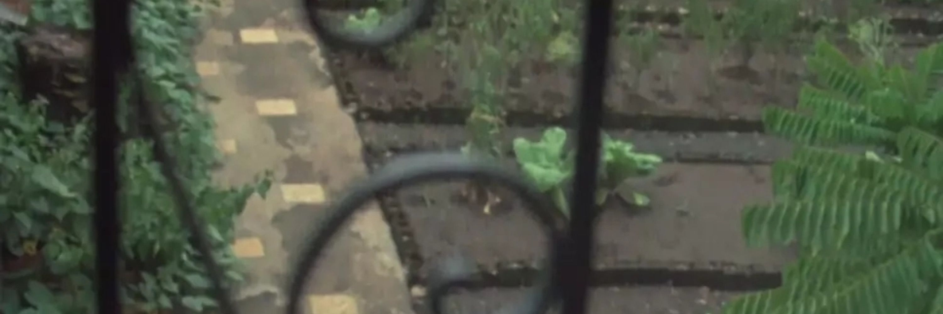 [giu saindo do ódio – 🌿]