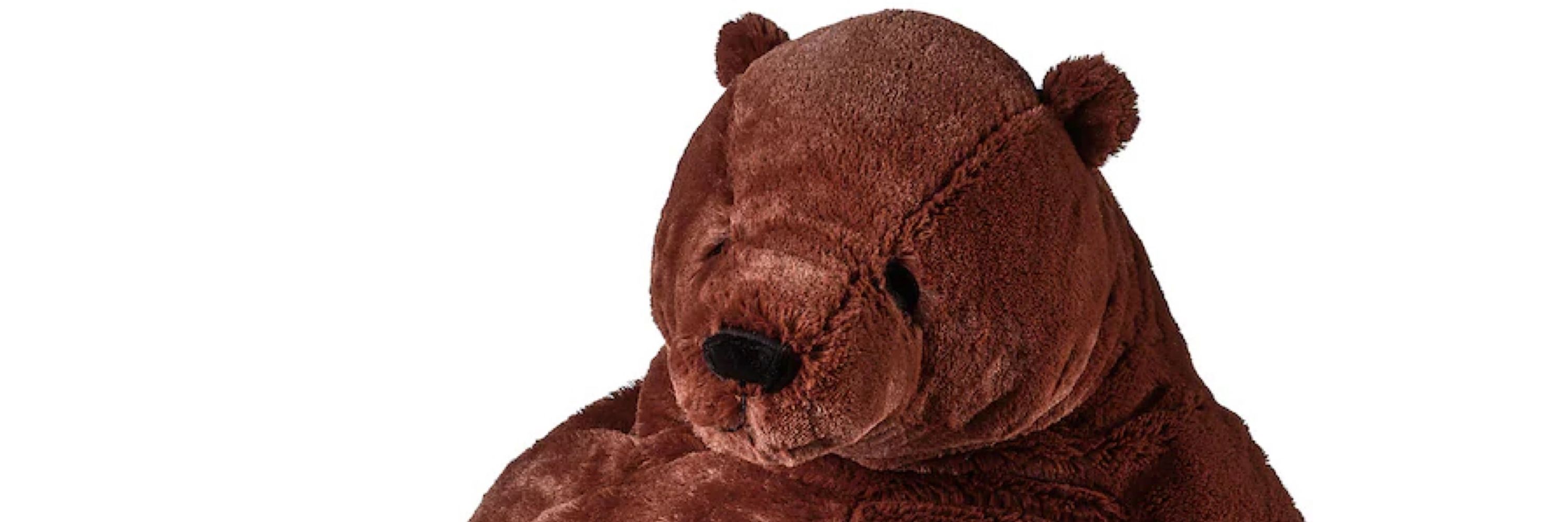 Djungelskog 🐻✌🏼