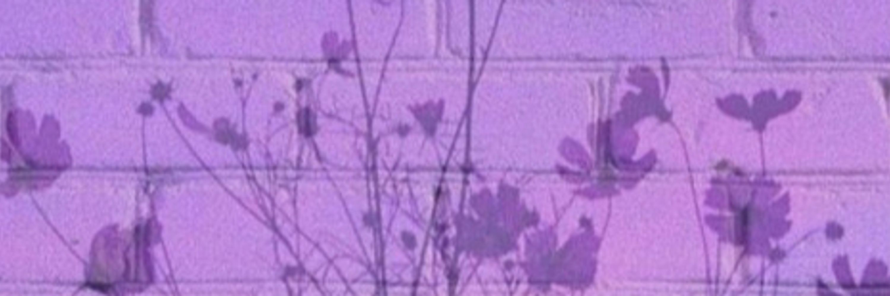 이뭘지
