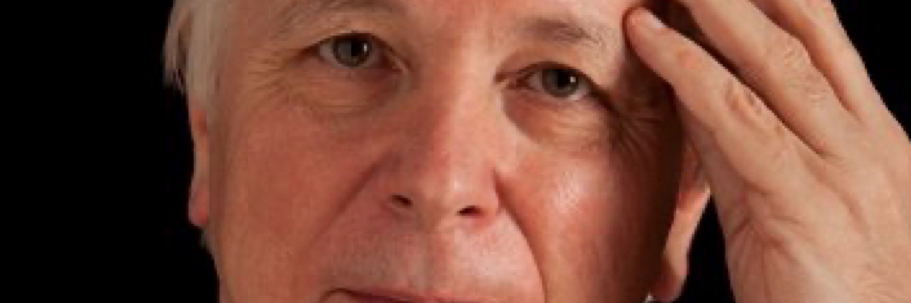 AJ Lees
