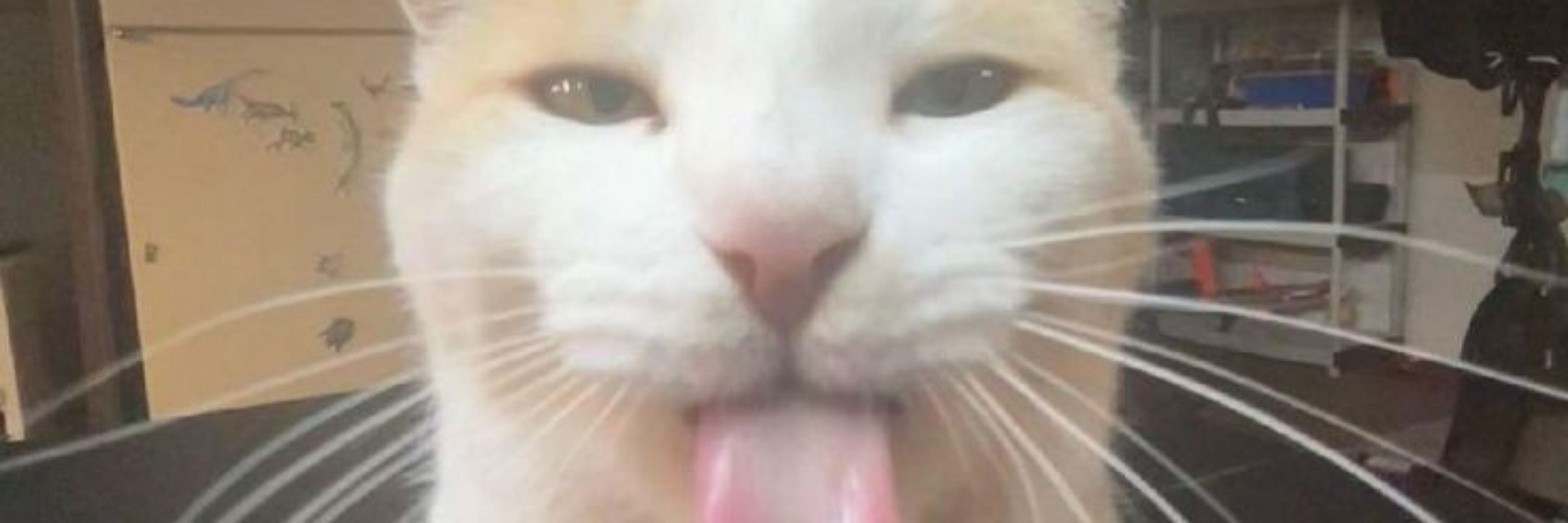 LuluuUu 