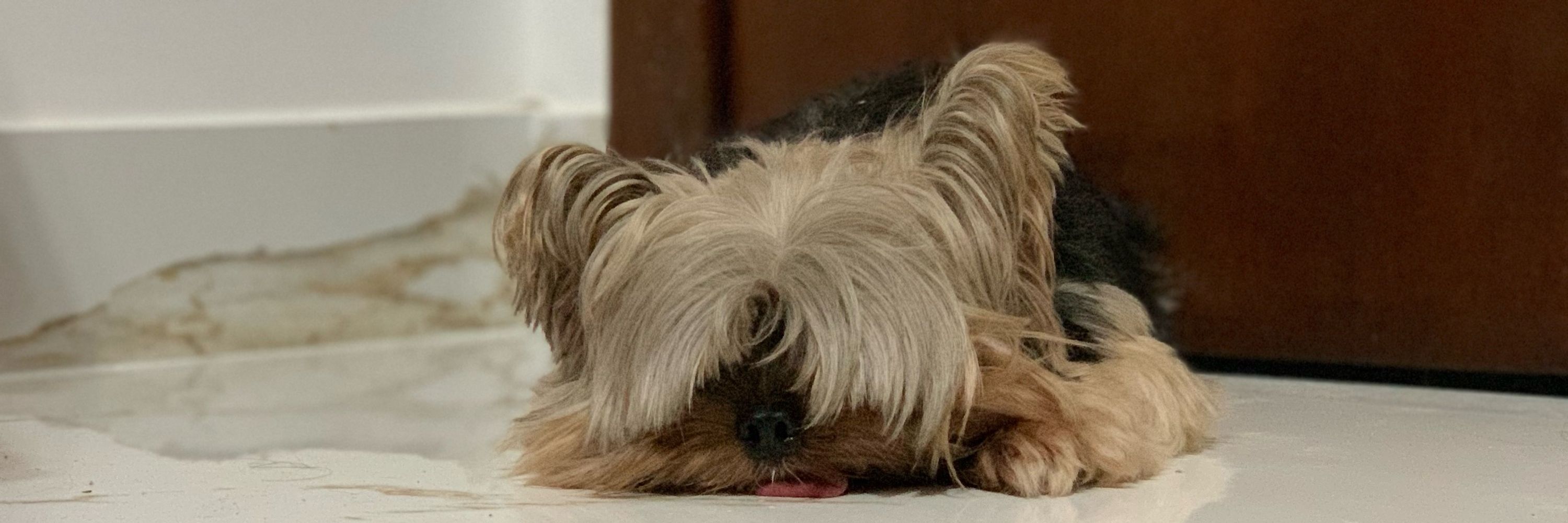 Júlia
