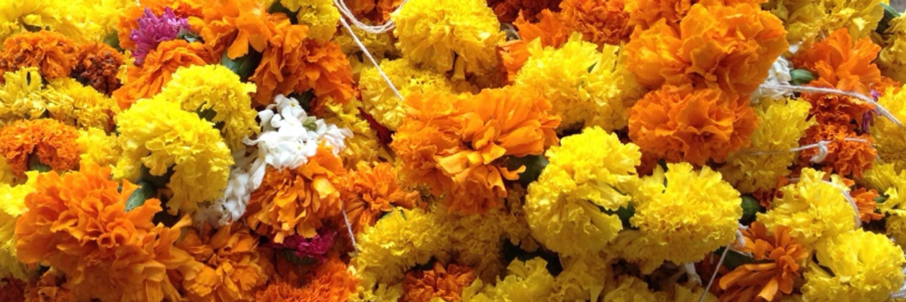 Kala Phool by Indy Hunjan