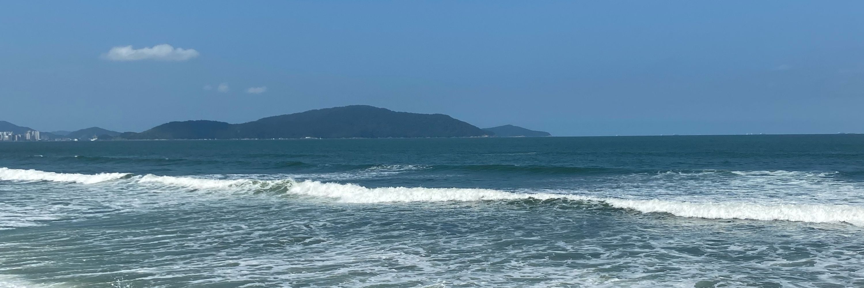 🌊