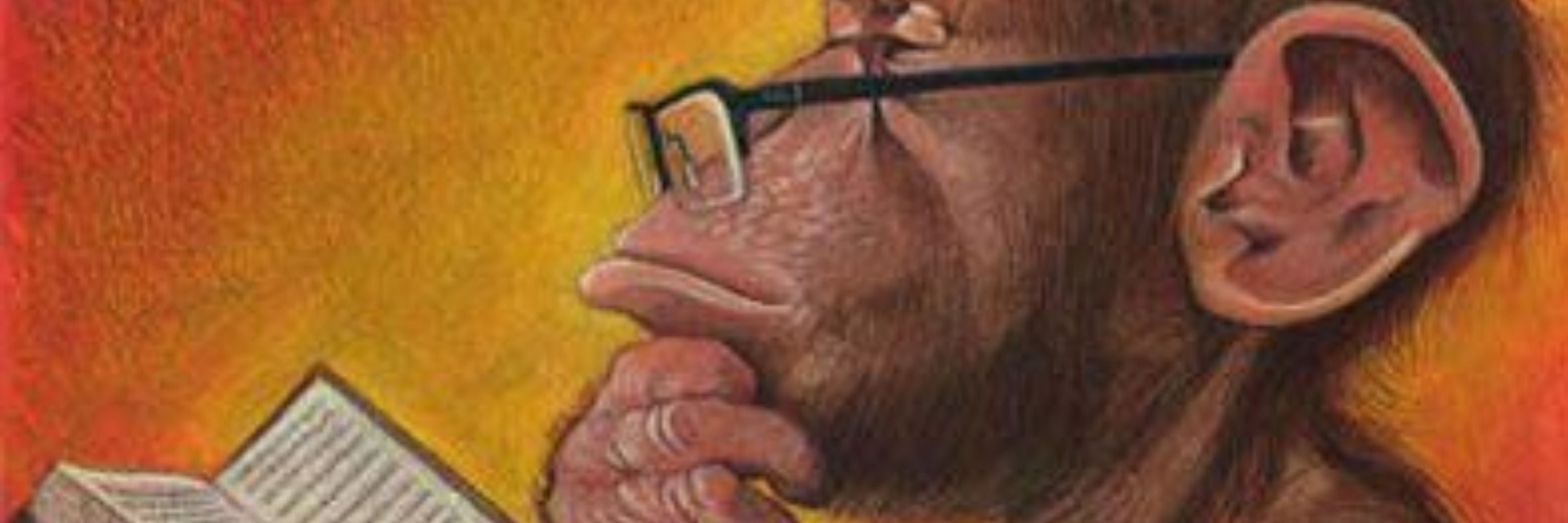 adamo
