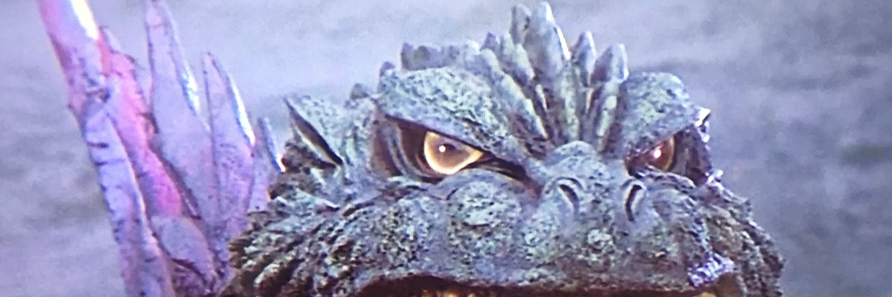 Storm, The Dragon