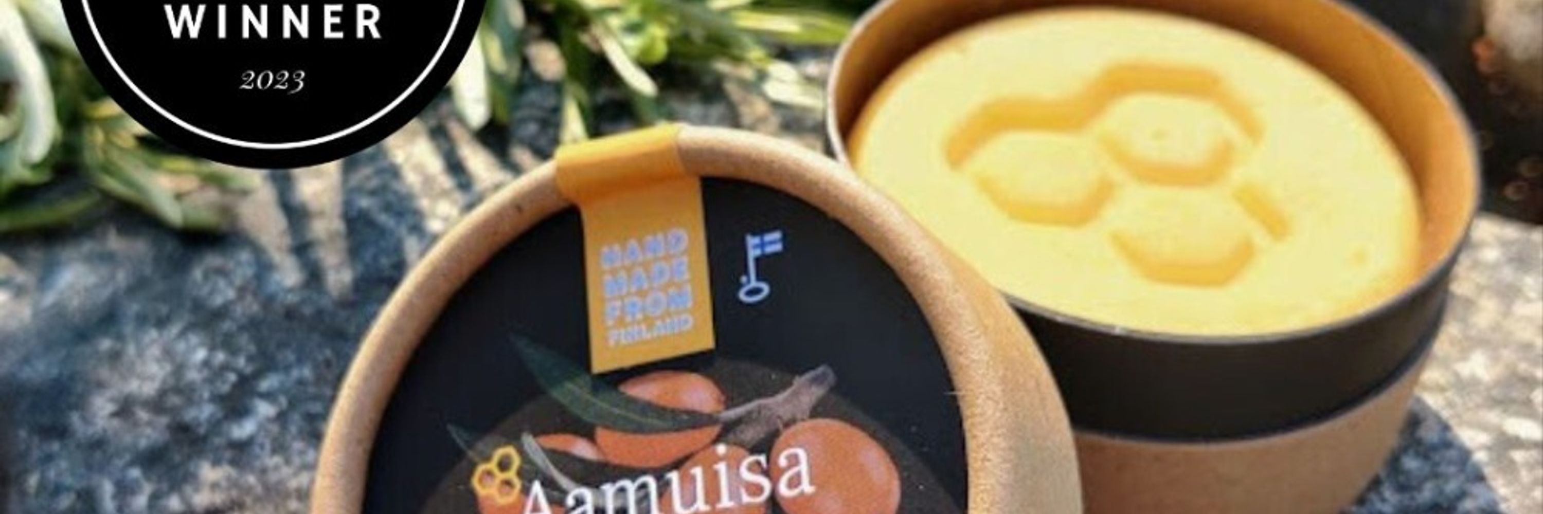 Aamuisa Oy