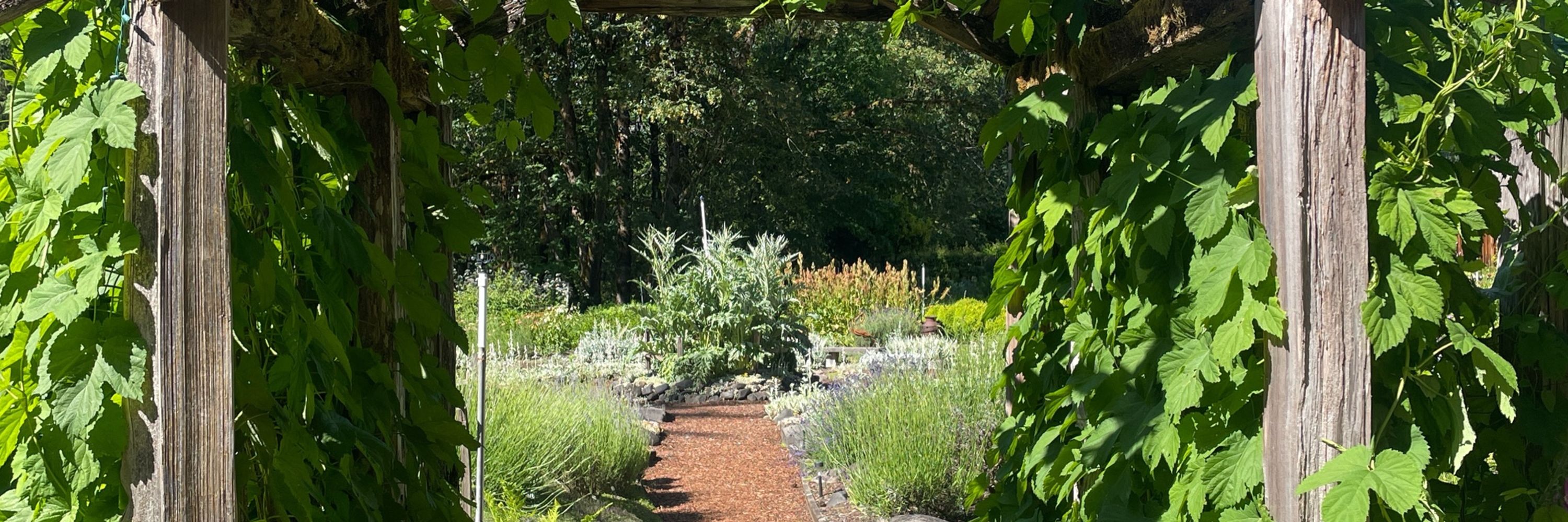 The Thyme Garden