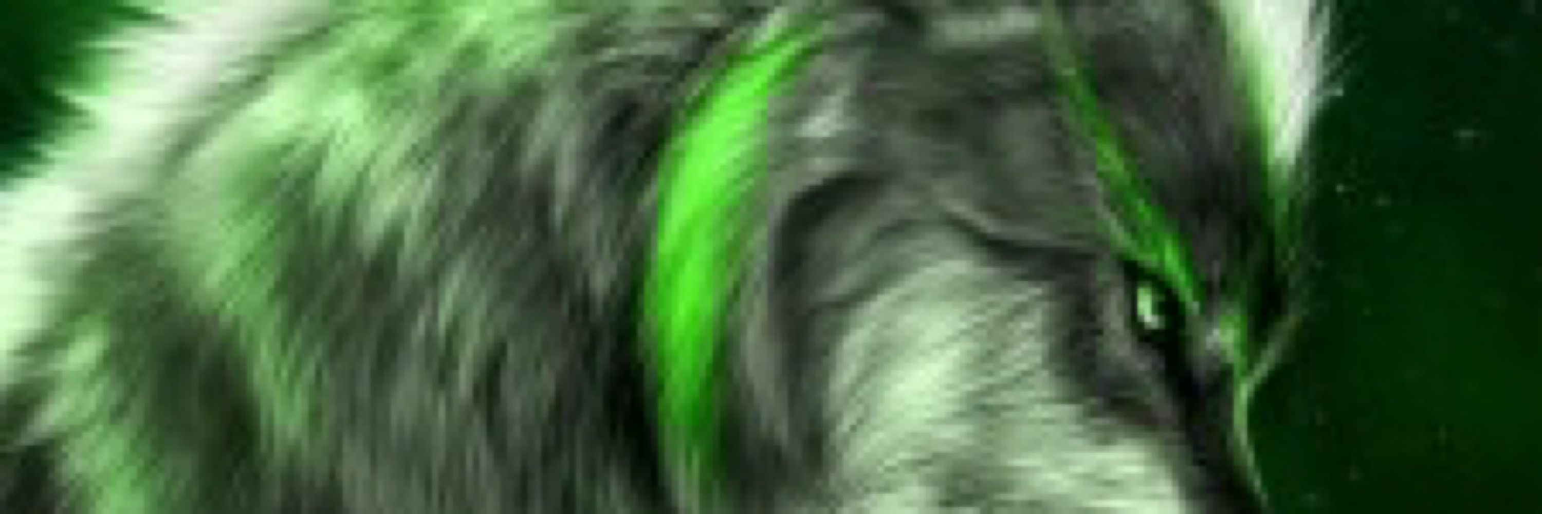 Bio_The_Wolf