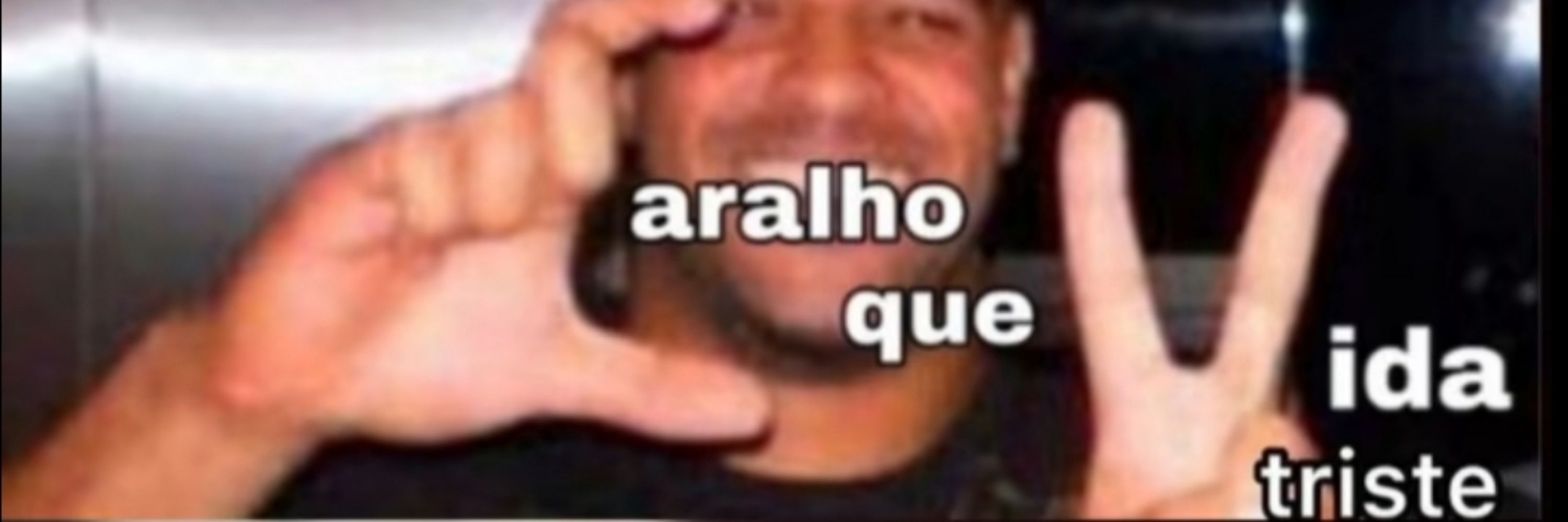 Macaquinho triste 
