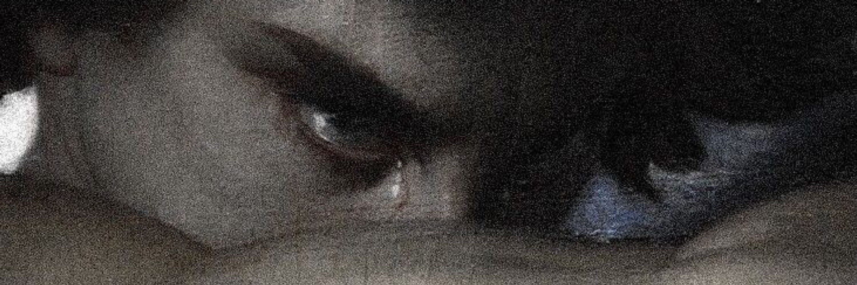 Damon Niklaus