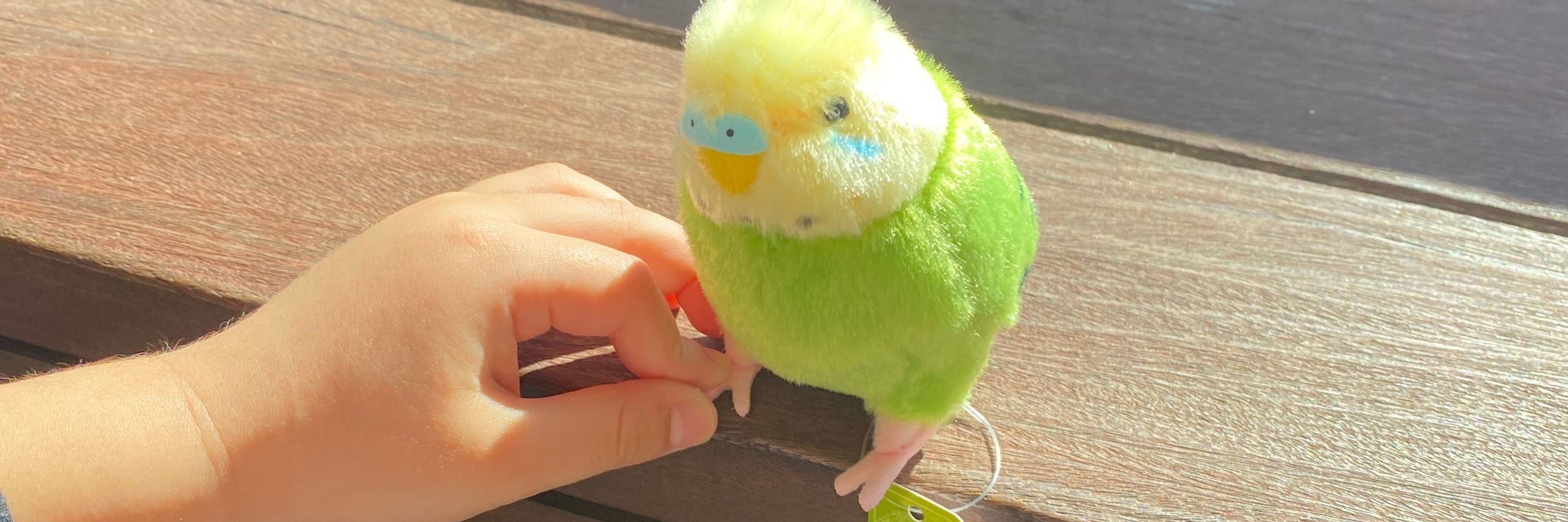 じゃすみぃ🫧🫖